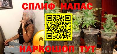 прущие грибы Ливны