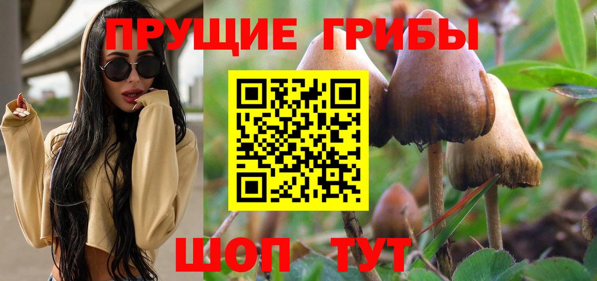 Галлюциногенные грибы Psilocybe Фрязино